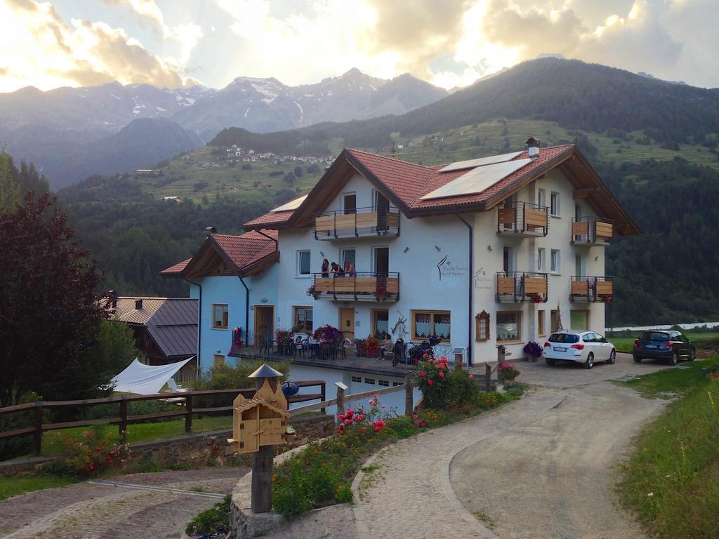 Baita Scaia Bed & Breakfast Cogolo Dış mekan fotoğraf